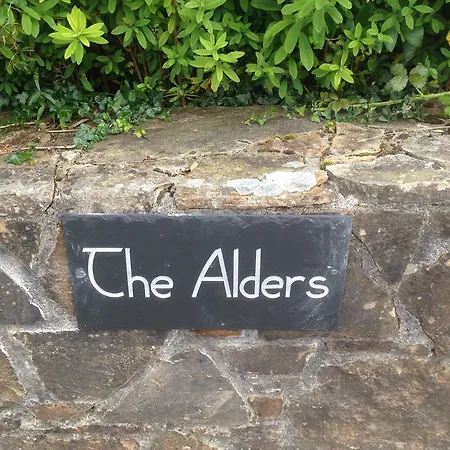 The Alders * Drumshanbo